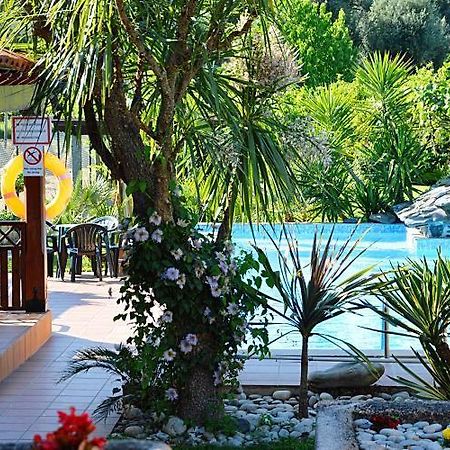 Casa Da Pedrosa Bed & Breakfast Ponte de Lima Ngoại thất bức ảnh