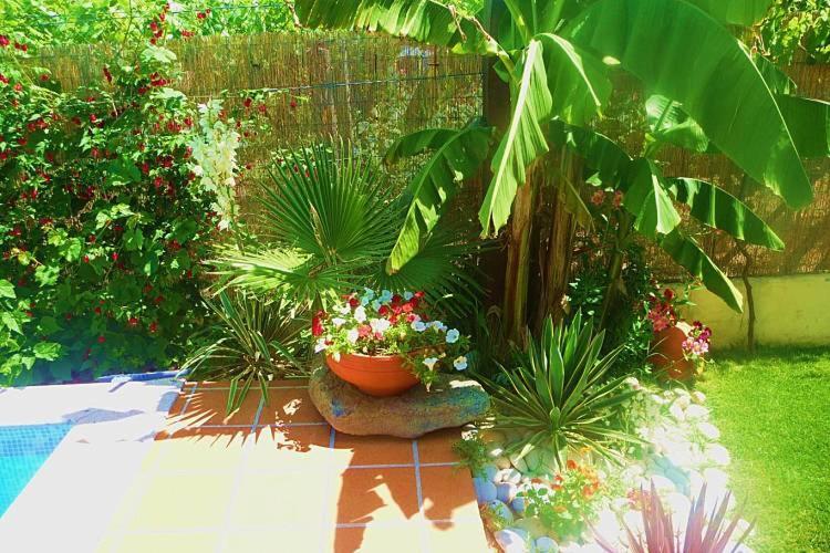 Casa Da Pedrosa Bed & Breakfast Ponte de Lima Ngoại thất bức ảnh